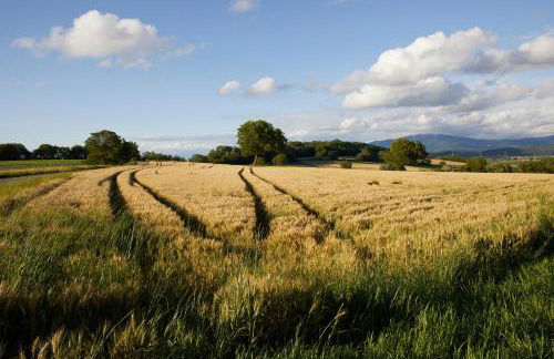 Boutique Apart & Gästehaus Le Rossignol - Foto 61