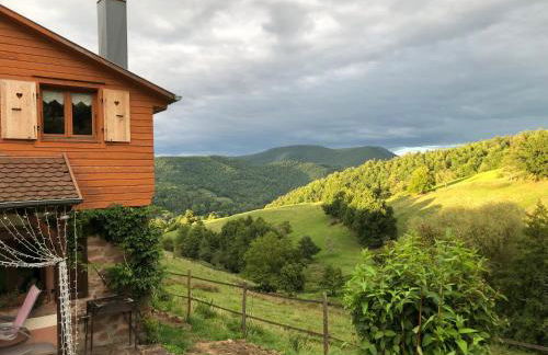 Maison pittoresque à Sainte-Croix-aux-Mines, vue sur la montagne - Foto 65