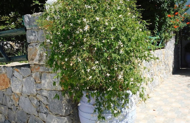 Anna-Ageliki Apartments - Foto 80