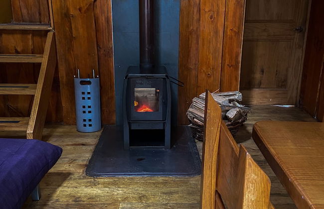 Cabañas Ensenada Bosque Nativo - Foto 21