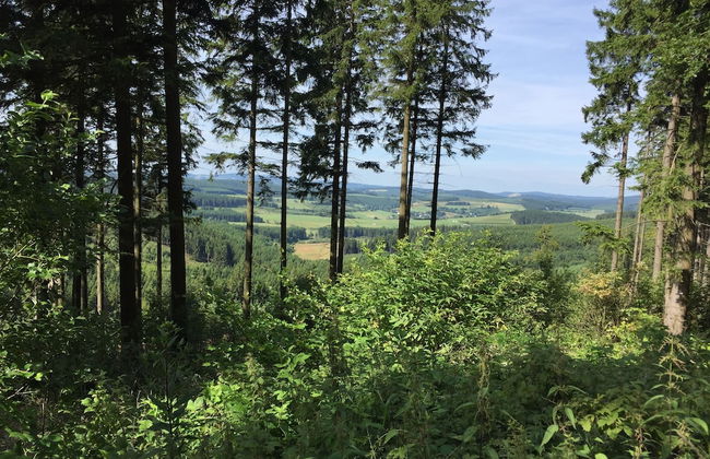 Fewo Corell - Photo 15