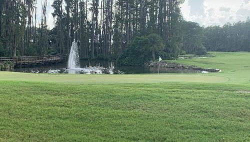 GolfView Executive Suite Near Tampa - Foto 3