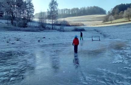 Apartment mit Gartenblick - Foto 28