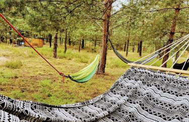 Borsk Sielanka - Foto 27