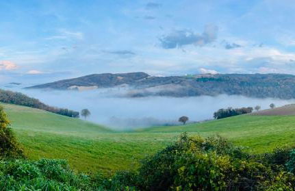 Monte Pino - Foto 67