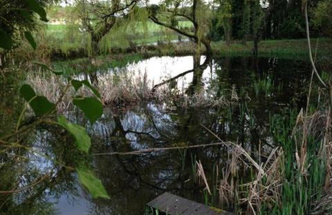 Le Terrier Blanc - Foto 16