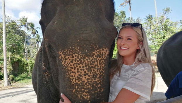 Interacting with the Elephants