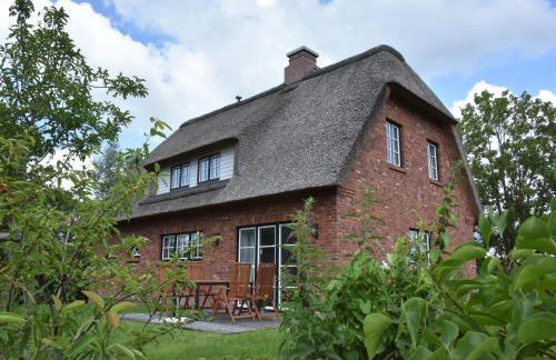 Möwen-Nest - Foto 37