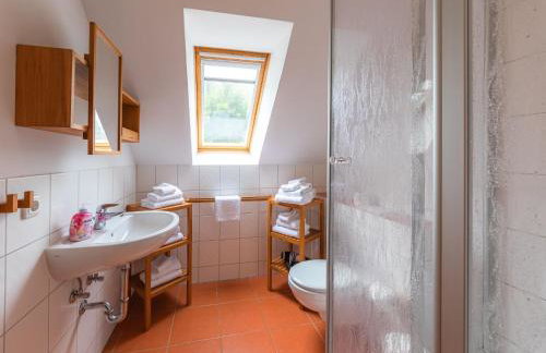 Sonnenblume_DH - Foto 18