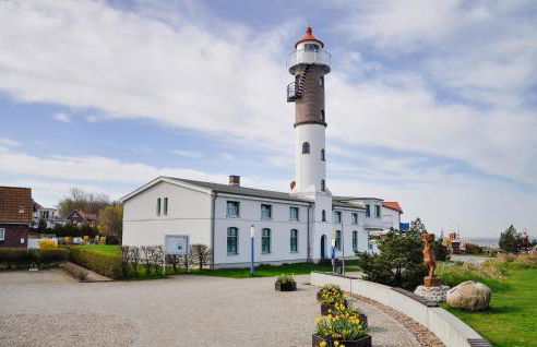 Seeschwalbe - Foto 22