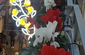 boutique apartment al duomo - Photo 25