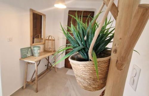 L'abri Côtier on St Cyprien beach - Photo 13