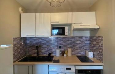 T2 Tout Confort - Parking Gratuit - Foto 11