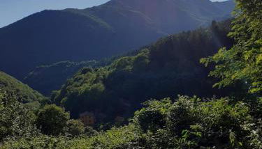 Marconi relax - Foto 5