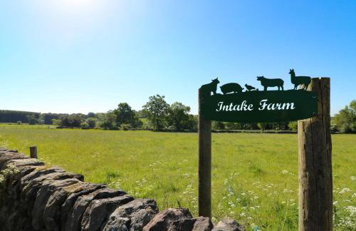 The White Cloud Bus - Foto 18