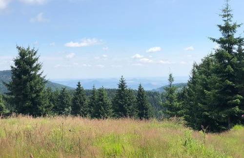 Verlegerhaus Seiffen - Foto 44