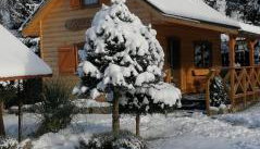 Lawendowy domek - Foto 3