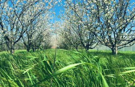 Agriturismo L'isola - Foto 67