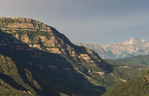 Borda Viñuels - Photo 15