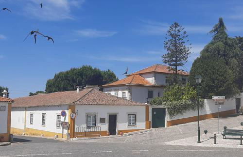 Do Campo à Praça - Foto 21