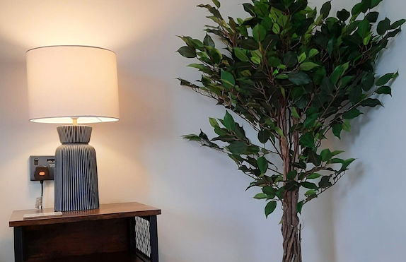 Deva Leisure - Foto 19