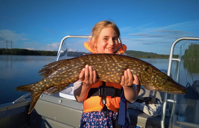 Vildmarks Lodge - Photo 30