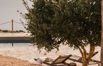 Anemomilos - Foto 33