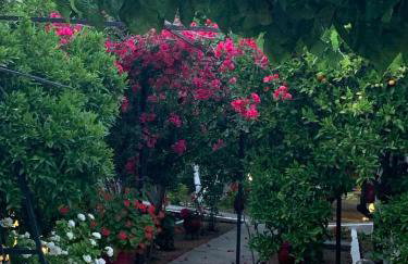 CottonClub Villas - Foto 11