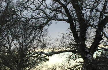 Apartment above Samantha Dadd Art Studio - in the Cotswolds - Foto 30