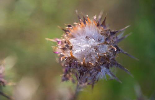 Agriturismo Poggio Corbello - Foto 104