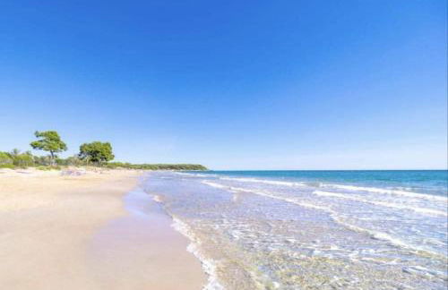 Estudio en la playa - Foto 34