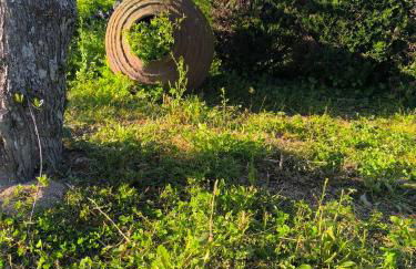 Cabañas Miraduero - Foto 7