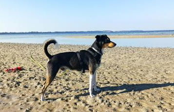 Bungalows Ostseequelle - Foto 24