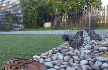 Eira da Mila - Foto 31