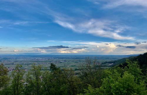Ferienwohnung in ruhigem Viertel - Foto 16