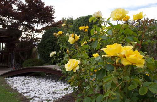 Mansarda con terrazzo e giardino Altopiano di Piné - Foto 55