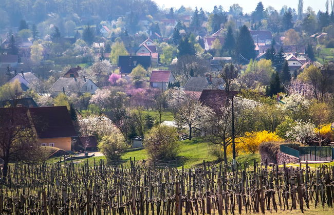 House With Panorama - Foto 18