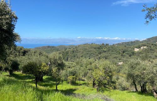 Lulani Hideaway - Foto 21