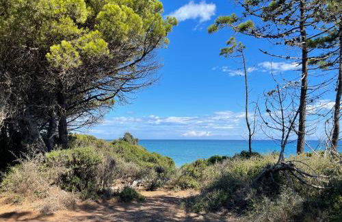 App. 2 p design zen vue mer N182 - Foto 42