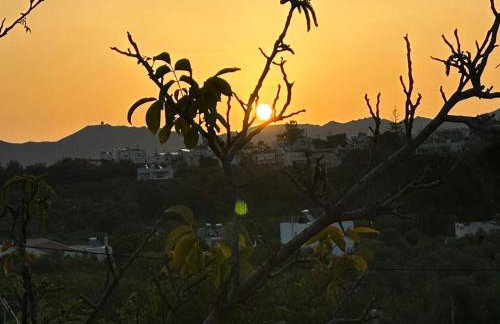 Helen Sweet Home in Kounoupidiana - Foto 7