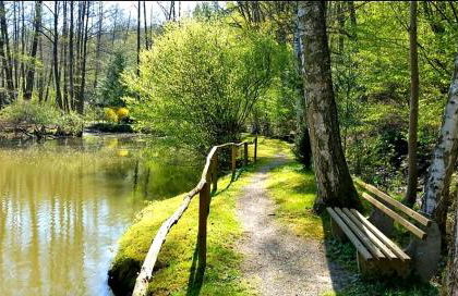 Ferienwohnung am Waldsee mit Schwimmbad - Foto 33