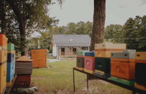 Pasieka Podlaska Tradycja - Foto 21