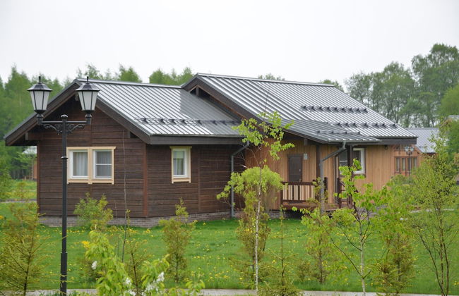 Novinki Park - Foto 45