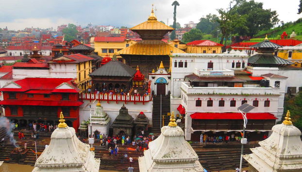 Kathmandu Temples Private Tour - Foto 2