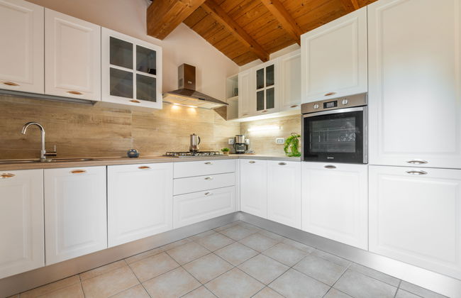 Eucalipto - Photo 12