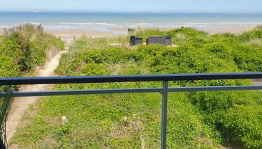 Le bélouga - Foto 2