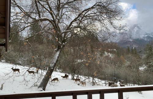 Hygge Haus Sequoia - Large Private Cabin w Views - Foto 74