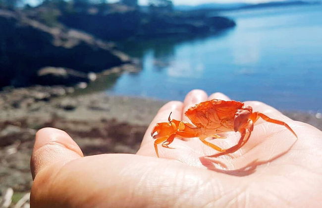 6 Person Holiday Home in Hartbakke - Foto 46