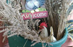 Agriturismo La Fontaccia - Foto 32