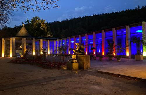 FeWo Roland Ranft direkt am Kurpark Barrierearm 60qm - Foto 59